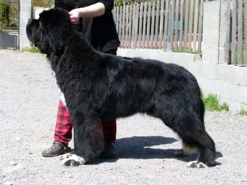 JR lothbrok at asgard des Vallons du Lys dit ragnar
